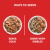 DROOLS ADULT GRAVY1 - Drools Adult Chunks in Gravy for Dogs | Real Chicken and Liver Chunks in Gravy