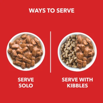 DROOLS ADULT GRAVY1 - Drools Adult Chunks in Gravy for Dogs | Real Chicken and Liver Chunks in Gravy