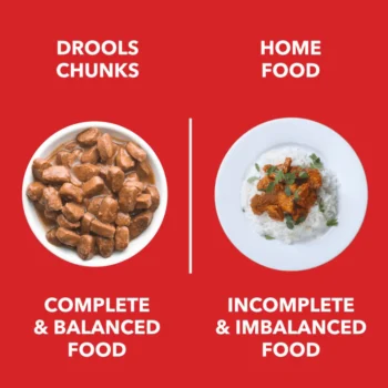 DROOLS ADULT GRAVY2 - Drools Adult Chunks in Gravy for Dogs | Real Chicken and Liver Chunks in Gravy