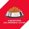 Drools Dry Food for Puppies Chicken and Egg image 4 - Drools Dry Food for Puppies - Chicken and Egg
