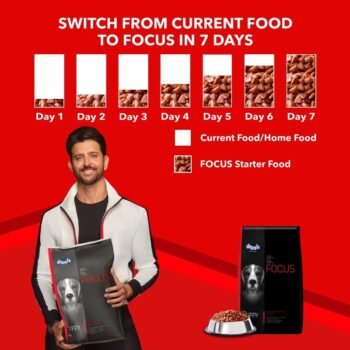 Drools Dry Food for Puppies Focus Super Premium Chicken image 5 - Drools Dry Food for Puppies - Focus Super Premium (Chicken)