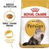 Royal Canin Persian Adult Breed Dry Cat Food image 1 - Royal Canin Persian Adult Breed Dry Cat Food