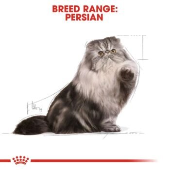 Royal Canin Persian Adult Wet Cat Food 85g x 12 Loaf Pouches image 9 - Royal Canin Persian Adult Wet Cat Food (85g x 12 Loaf Pouches)