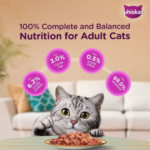 chicken3 - Whiskas Wet Cat Food with Chicken in Gravy - 80g