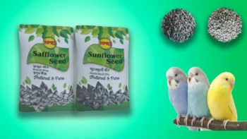 2 75 bird 3 cosusa2kg birdie s original image9crgn43drzc - Birdie's Birds Dry Food Sunflower Seed