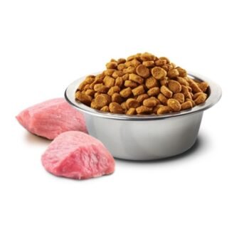 Farmina Dry Food ND Prime Cat Chicken Pomegranate Kitten image 3 - Farmina Dry Food - N&D Prime Cat Chicken & Pomegranate Kitten