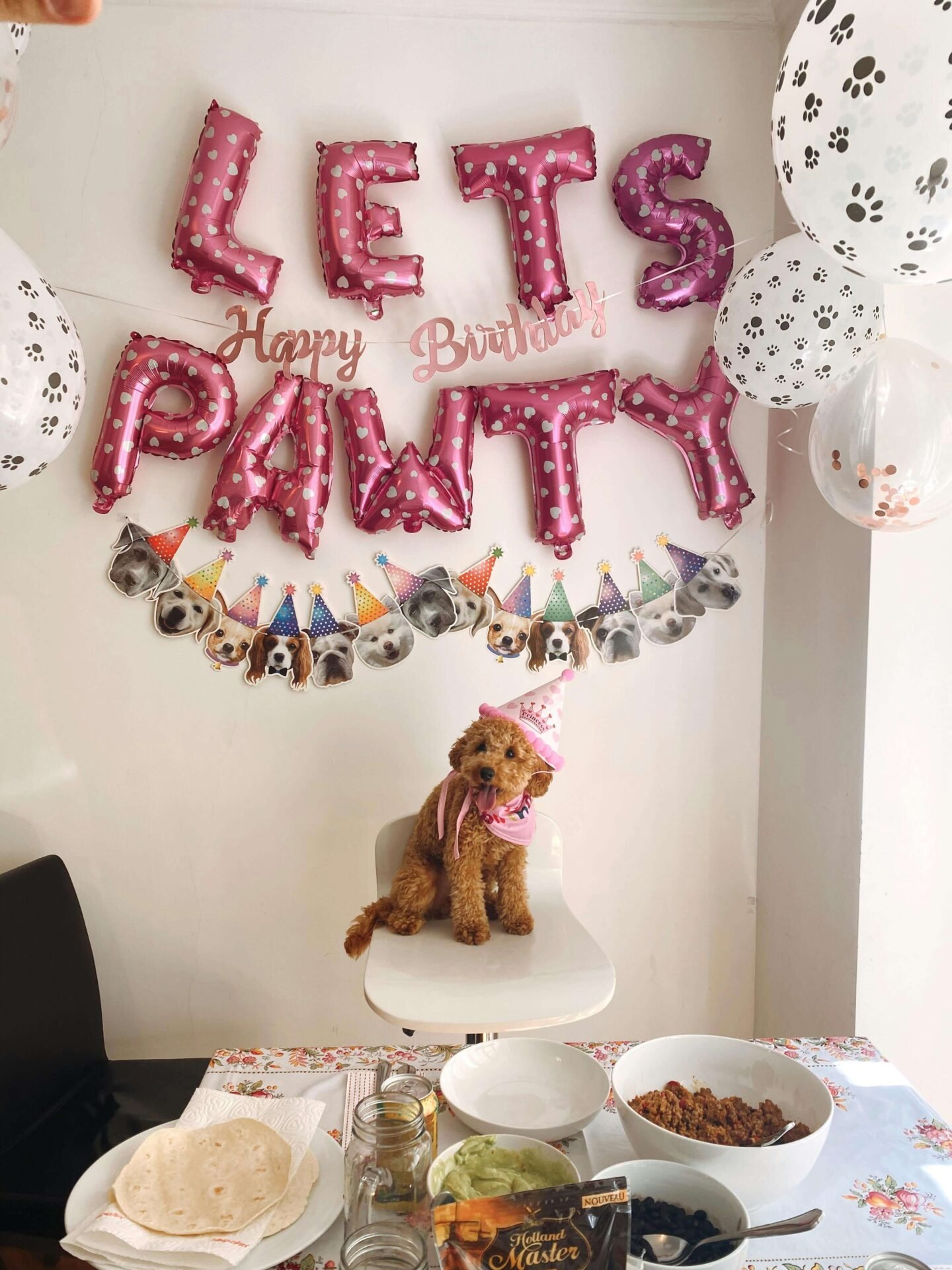 pet-parties