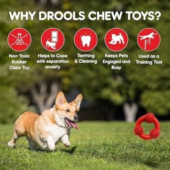 DR4 2 - Drools Safe Rubber Chew Trio Bolt Ring Dog Toy