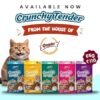 GN - Gnawlers Crunchy & Tenders Cat Treats | Salmon & Milk Flavour with Real Meat