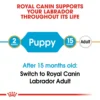 RC LAB PUP 3 - Royal Canin Puppy Labrador Retriever Food