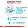 RC mother Babyfood 1 - Royal Canin Maxi Starter Mother & Babydog Dog Food - Premium Nutrition for Puppies & Their Mothers