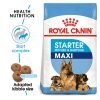 RC mother Babyfood 3 - Royal Canin Maxi Starter Mother & Babydog Dog Food - Premium Nutrition for Puppies & Their Mothers