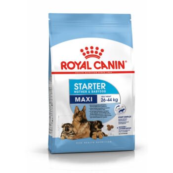 RC mother Babyfood Front - Royal Canin Maxi Starter Mother & Babydog Dog Food - Premium Nutrition for Puppies & Their Mothers