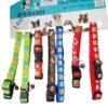 WhatsApp Image 2024 11 22 at 14.39.01 - K-9 Kares Collar for Pets – A Comfortable and Stylish Collar for Your Dog