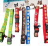 WhatsApp Image 2024 11 22 at 14.39.02 - K-9 Kares Collar for Pets – A Comfortable and Stylish Collar for Your Dog