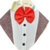 WhatsApp Image 2024 11 22 at 15.31.55 - CANES VENATICI Dog Bandana for Pets – A Fashionable and Comfortable Accessory for Your Dog