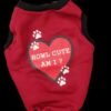 WhatsApp Image 2024 11 23 at 12.14.04 - Esther’s Lab Raglan Winter T-Shirt for Pet | Comfortable and Stylish for Dogs and Cats