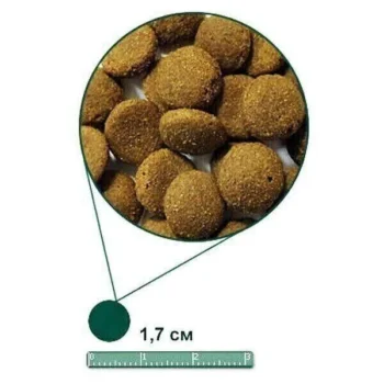 ag2 - Arden Grange Adult Large Breeds Dog Food with Fresh Chicken & Rice