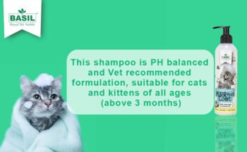 basil3 - Basil Cat & Kitten Shampoo | Purr Fect Coat With Aloe-Vera & Coconut Oil