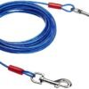 cab - Doggo Bite 15ft. Tie-Out Cable – Tangle Resistant Vinyl-Coated-Aircraft Steel Cable for Dogs at Esther's Lab