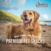 ch1 - Chester's Tasty Chews Premium Dog Biscuits - Chicken Flavour