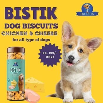 dr1 - Bistik Biscuits | Chicken Cheese by Dr. Pets - Crunchy & Nutritious Dog Treats