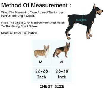 k9c - Doggo Bite K9 Harness for Dogs – Comfort, Durability, and Safety for Your Furry Friend