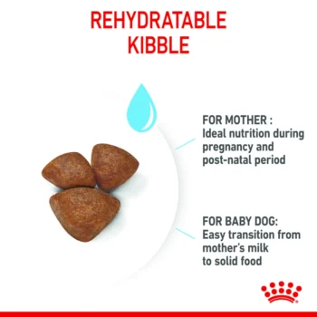 rc mini2 - Royal Canin Mini Starter Mother & Babydog 1-2 Months