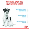 rc mini3 - Royal Canin Mini Starter Mother & Babydog 1-2 Months