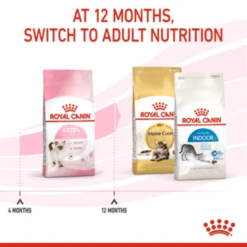 rck4 - Royal Canin Kitten Cat Dry Food | Up to 12 Months