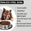 B4 - Doggo Bite Stainless Steel Bowl for Pets