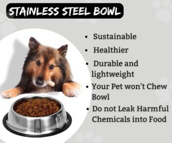 B4 - Doggo Bite Stainless Steel Bowl for Pets