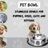 B5 - Doggo Bite Stainless Steel Bowl for Pets