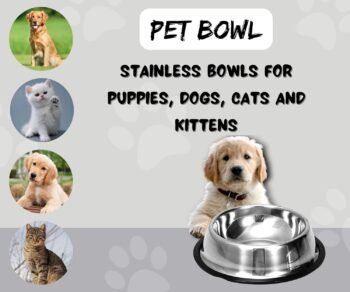 B5 - Doggo Bite Stainless Steel Bowl for Pets