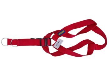 WhatsApp Image 2024 12 26 at 13.27.16 - Doggo Bite Normal Body Belt for Dogs