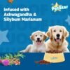 petstar starter2 - PetStar Starter - Mother and Baby Dry Dog Food | Buy 1 Get 1 Free