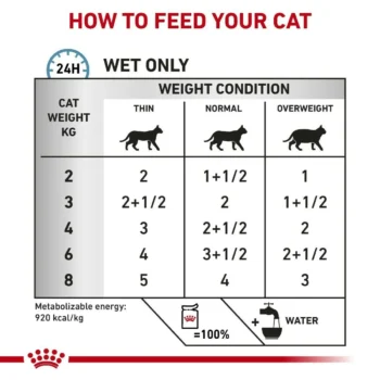 skin coat3 - Royal Canin Skin & Coat Cat Wet Food - (85g x 12 Pouches)