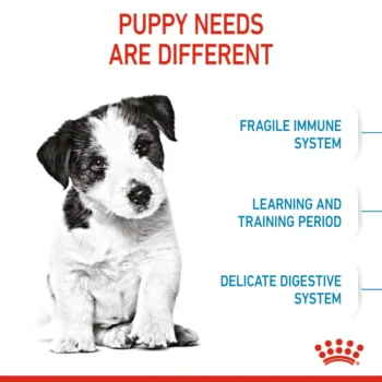 RCMINIPUPPY3 - Royal Canin Mini Puppy Dry Dog Food