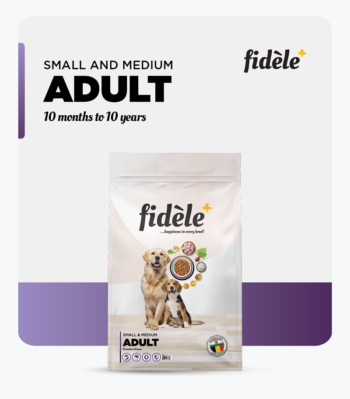 Fidele Small Medium Breed Adult Dry Dog Food image 2 - Fidele Small & Medium Breed Adult Dry Dog Food | Small & Medium Adult All Breeds 10 Months – 10 Years