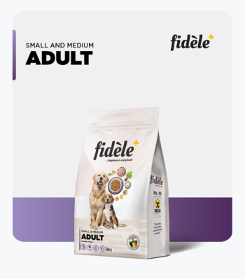 Fidele Small Medium Breed Adult Dry Dog Food image 3 - Fidele Small & Medium Breed Adult Dry Dog Food | Small & Medium Adult All Breeds 10 Months – 10 Years