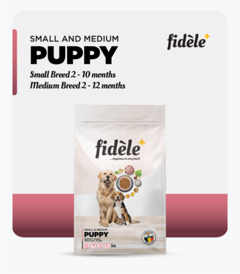 Fidele Small Medium Breed Puppies Dry Dog Food image 2 - Fidele Small & Medium Breed Puppies Dry Dog Food | Small Breed 2–10 Months | Medium Breed 2–12 Months