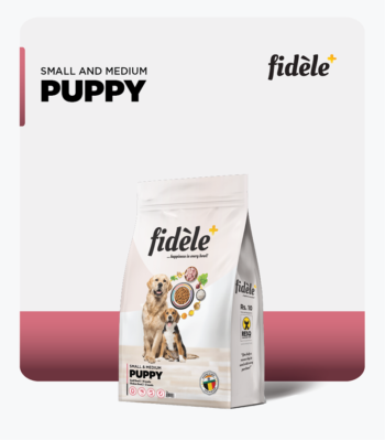 Fidele Small Medium Breed Puppies Dry Dog Food image 3 - Fidele Small & Medium Breed Puppies Dry Dog Food | Small Breed 2–10 Months | Medium Breed 2–12 Months